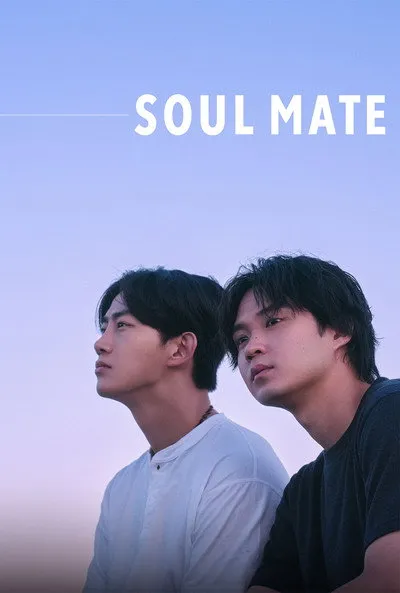 โซล เมท