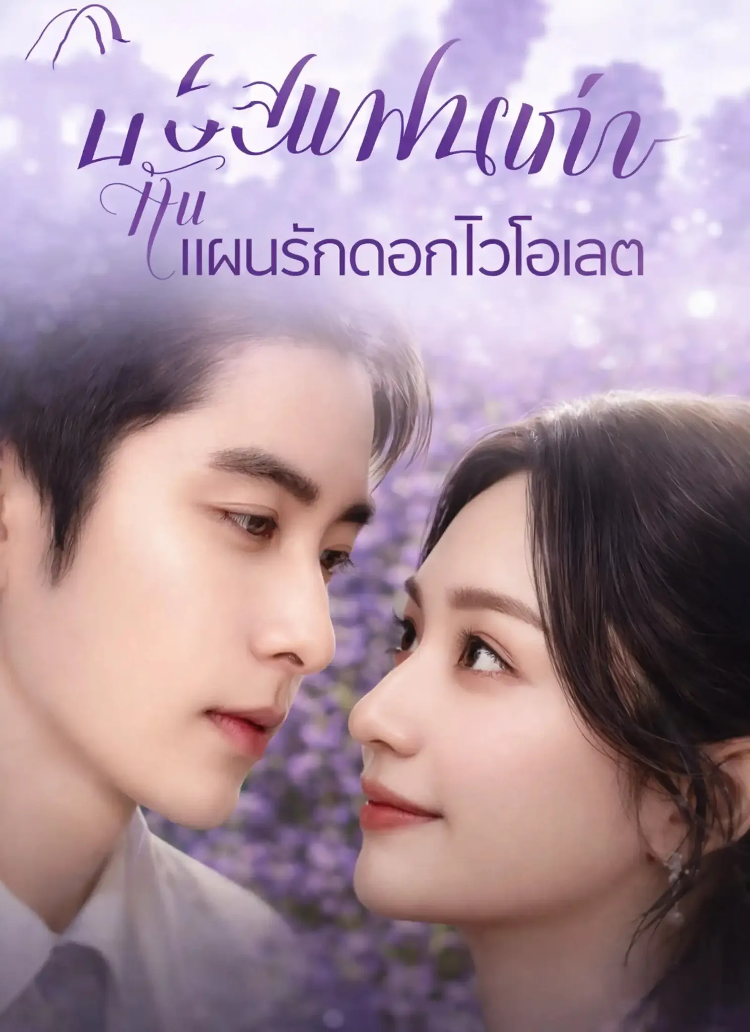 บอสแฟนเก่ากับแผนรักดอกไวโอเลต