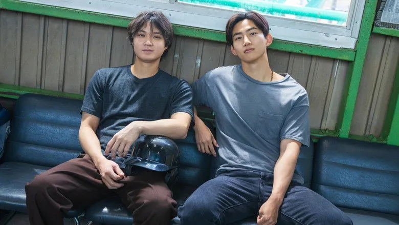 โซล เมท